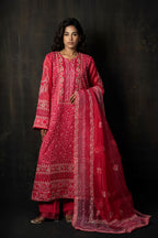 Crimson Pure Organza Suit Set with Intricate Floral Hand-Embroidery