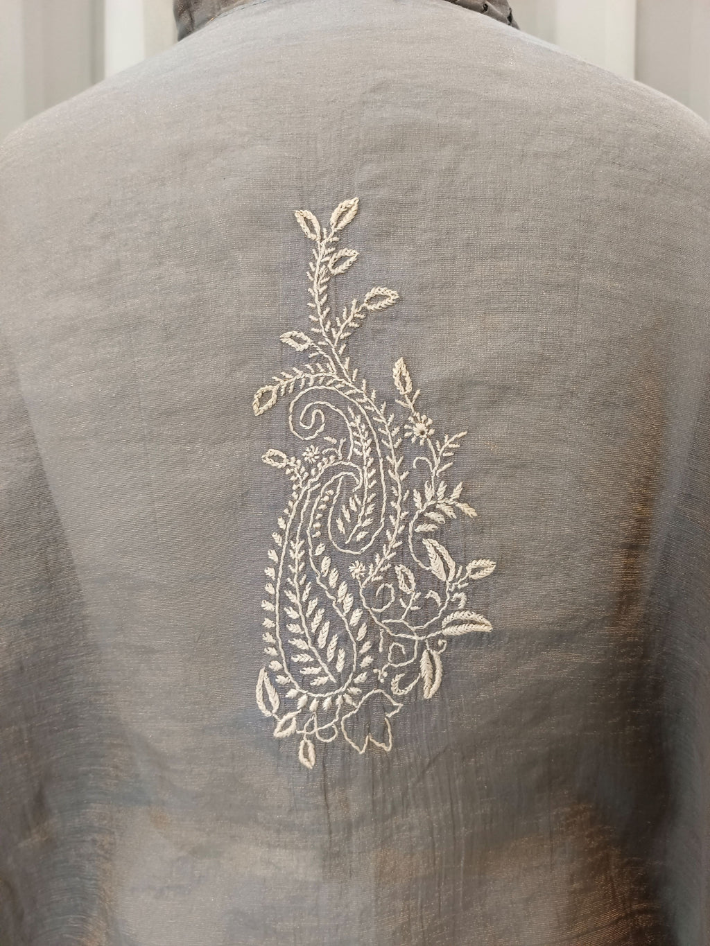 SILVER MIST TISSSUE CHIKANKARI CO-ORD SET